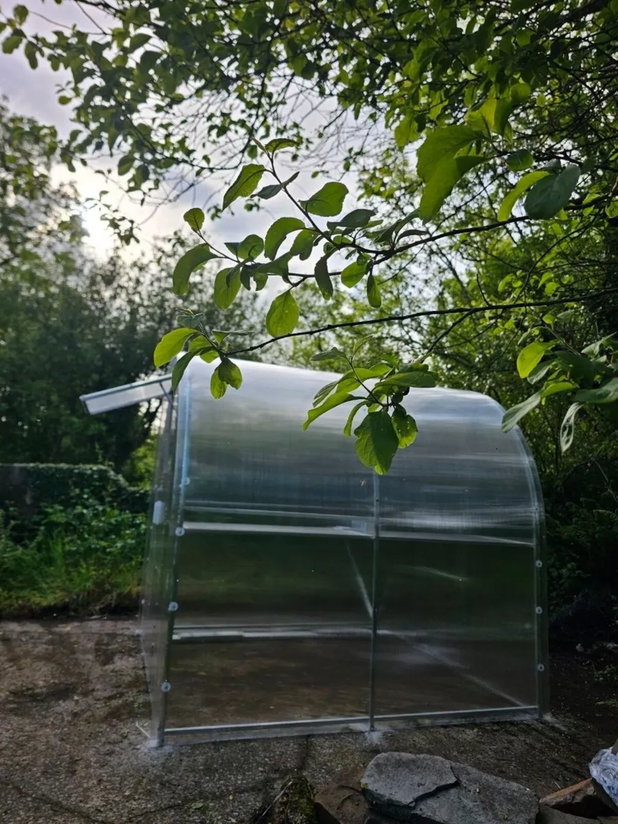 BMP Garden’s Urban Greenhouse - Image 4