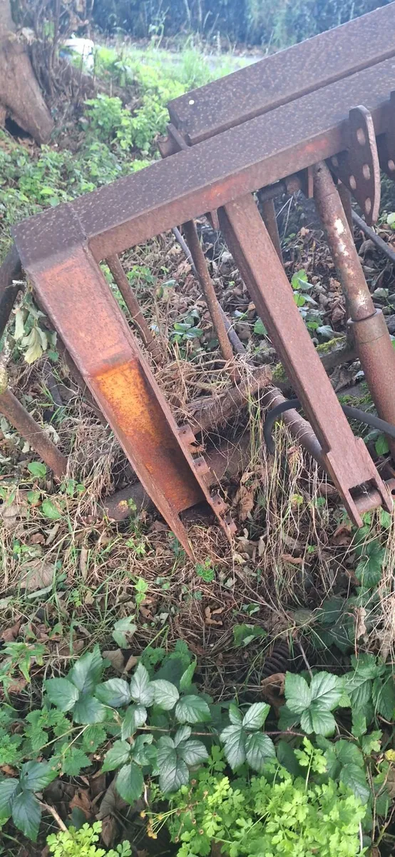 Buckrake - Image 2
