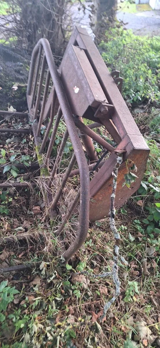 Buckrake - Image 1