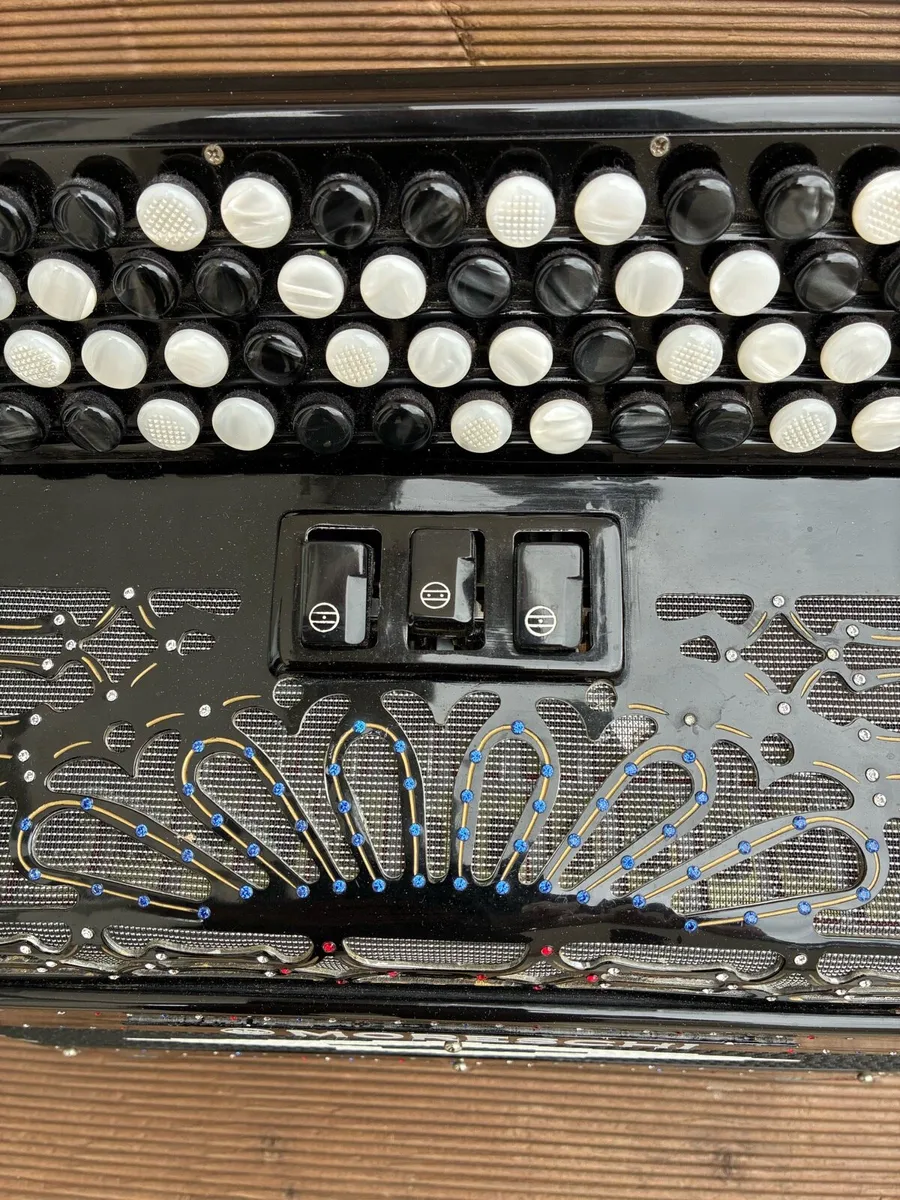 Accordion - Image 2