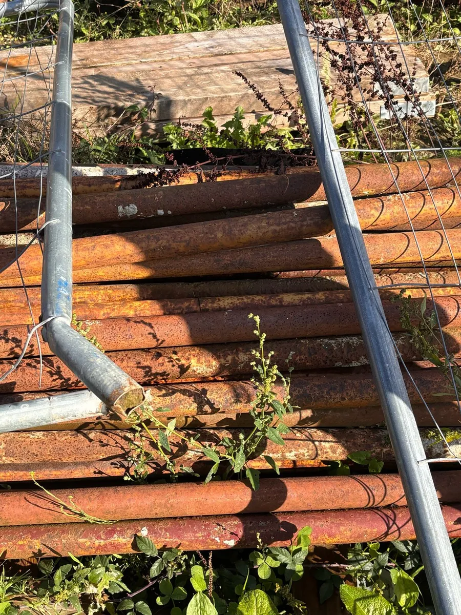 Scaffolding - Image 2