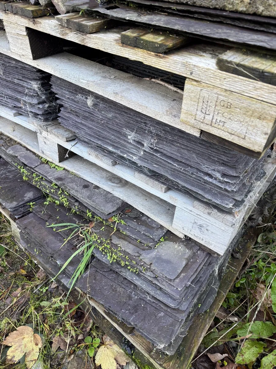 Reclaimed natural slates - Image 2