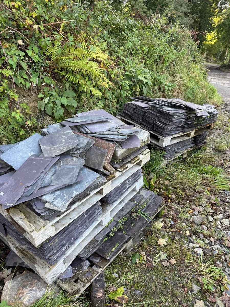 Reclaimed natural slates - Image 3