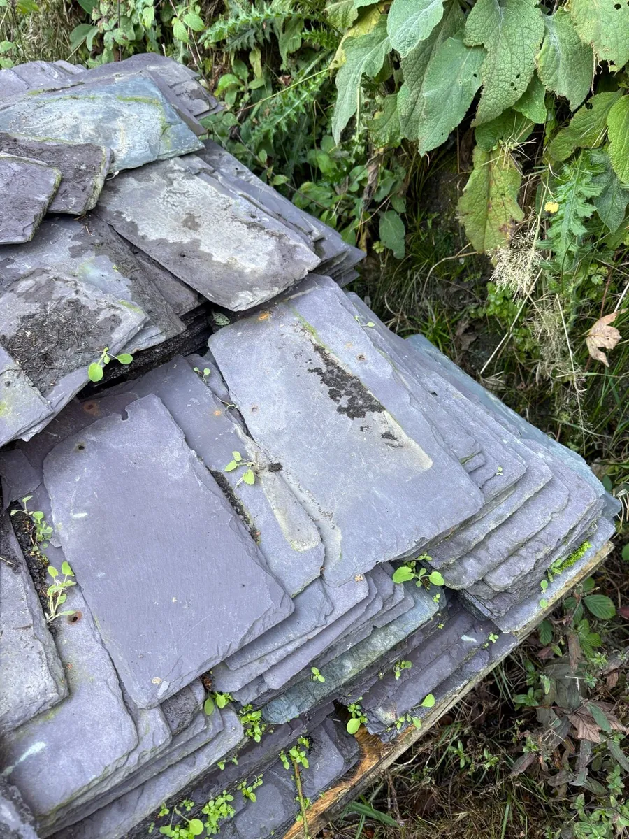 Reclaimed natural slates - Image 4