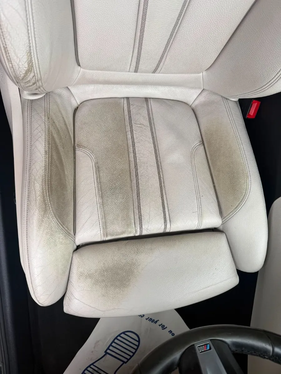 A.P. Detail – Interior Repair & Restoration Profes - Image 4