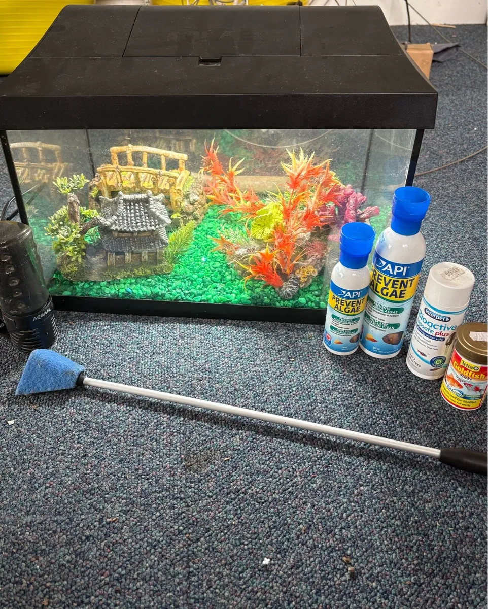 Fish Tank