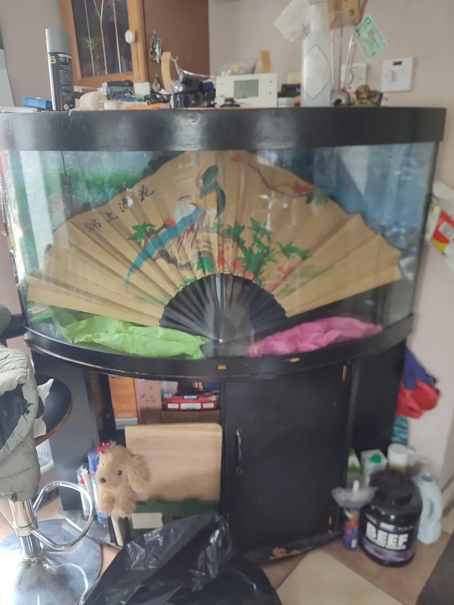 Fish tank - Image 1