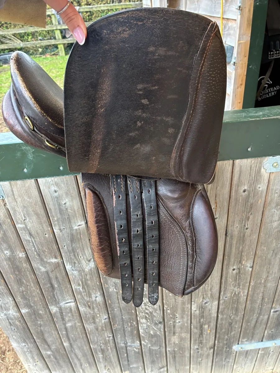Saddle 14incg - Image 4