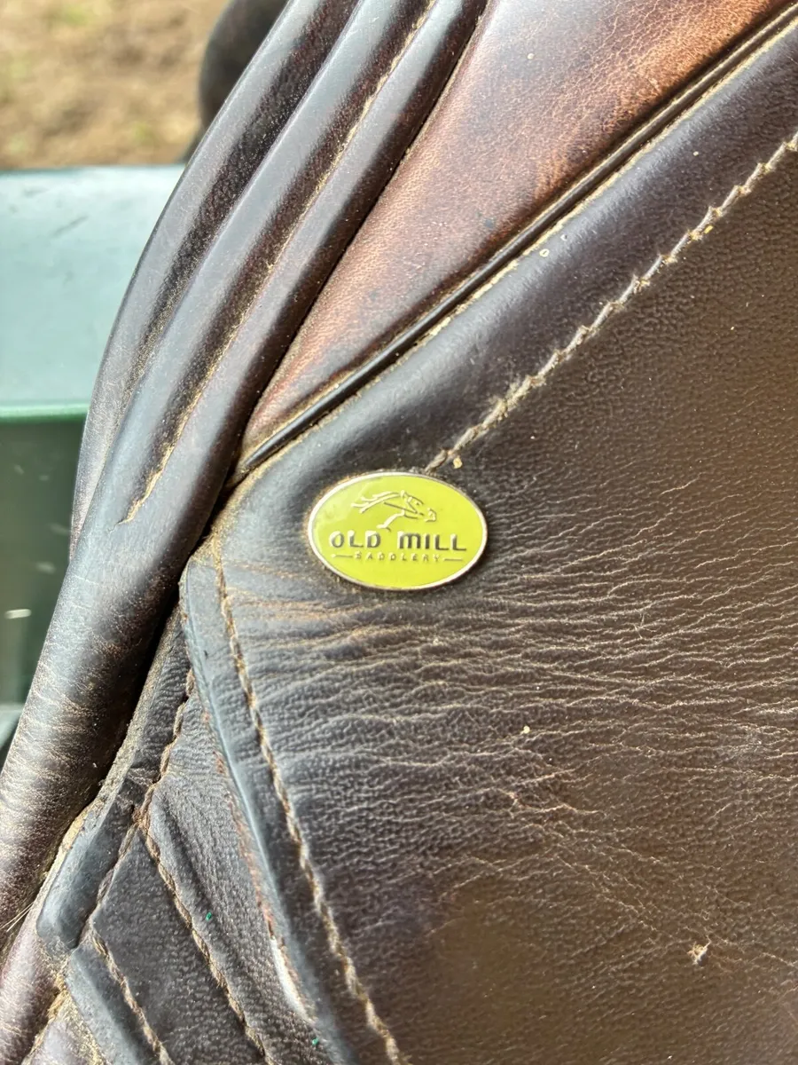 Saddle 15inch - Image 4