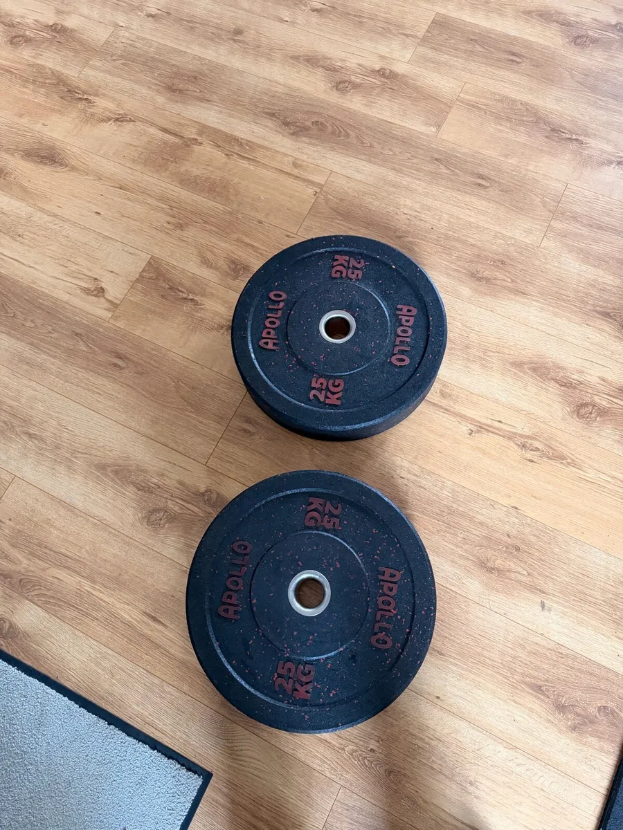 2x 25kg APOLLO Fitness Plates - Image 1