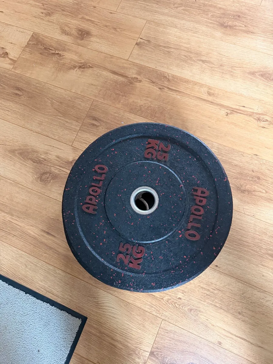 2x 25kg APOLLO Fitness Plates - Image 2