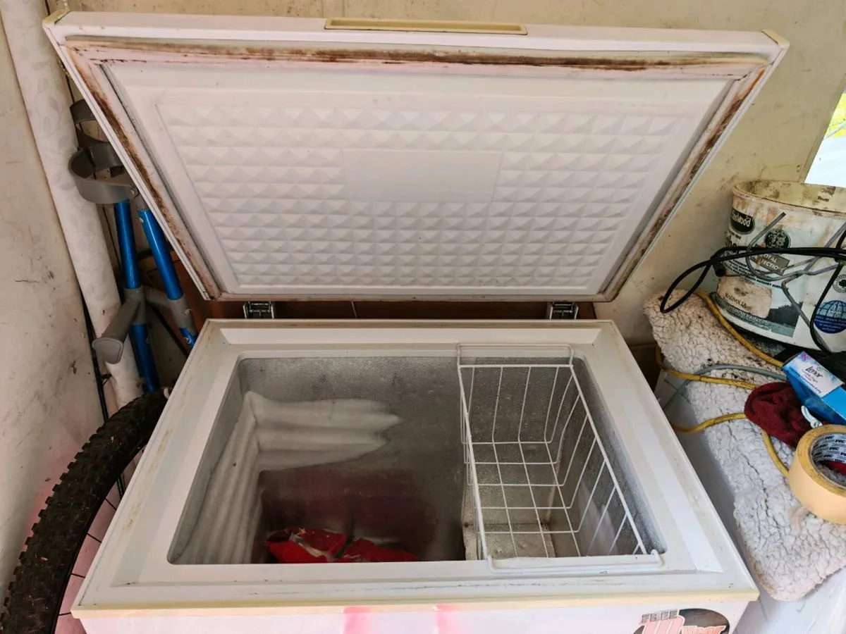 Powerpoint Chest Freezer - Image 2