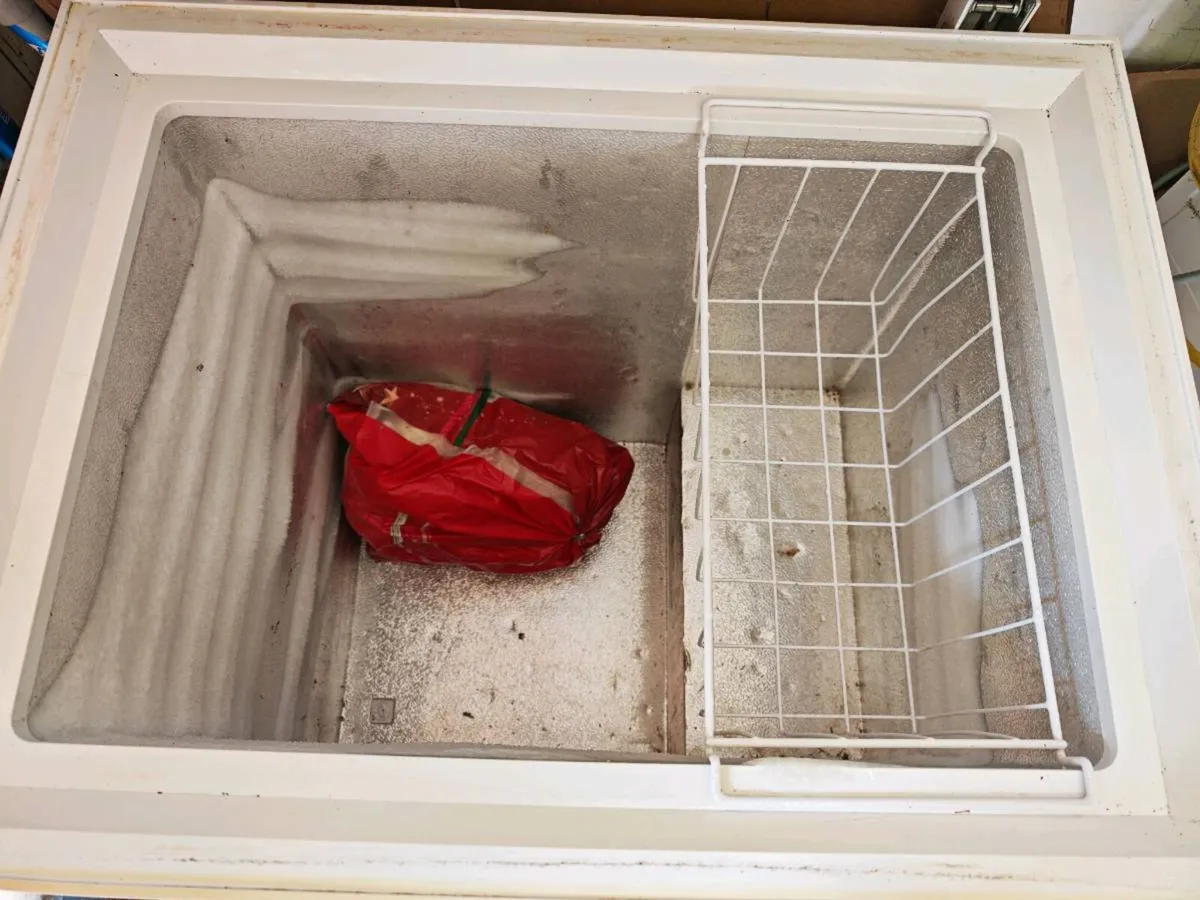 Powerpoint Chest Freezer - Image 3