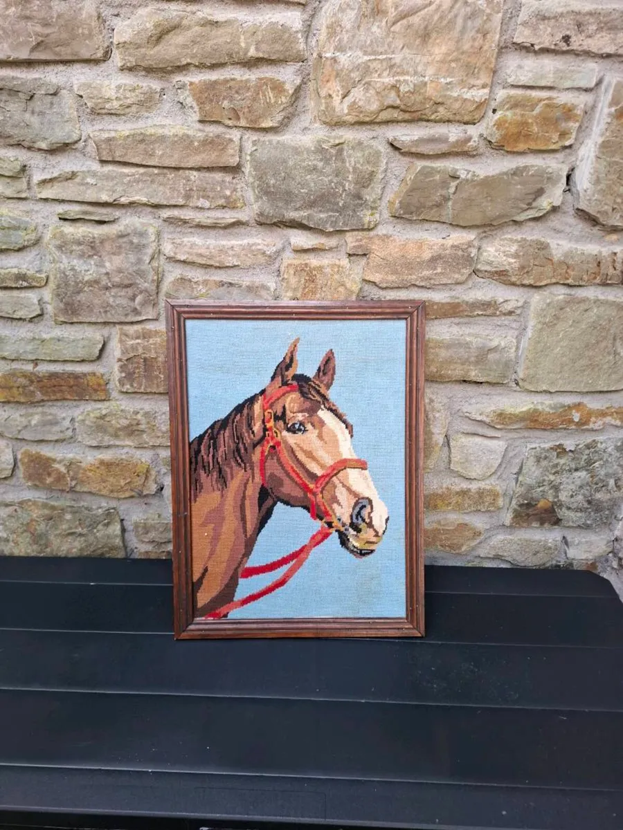 Horse canvas frame - Image 1