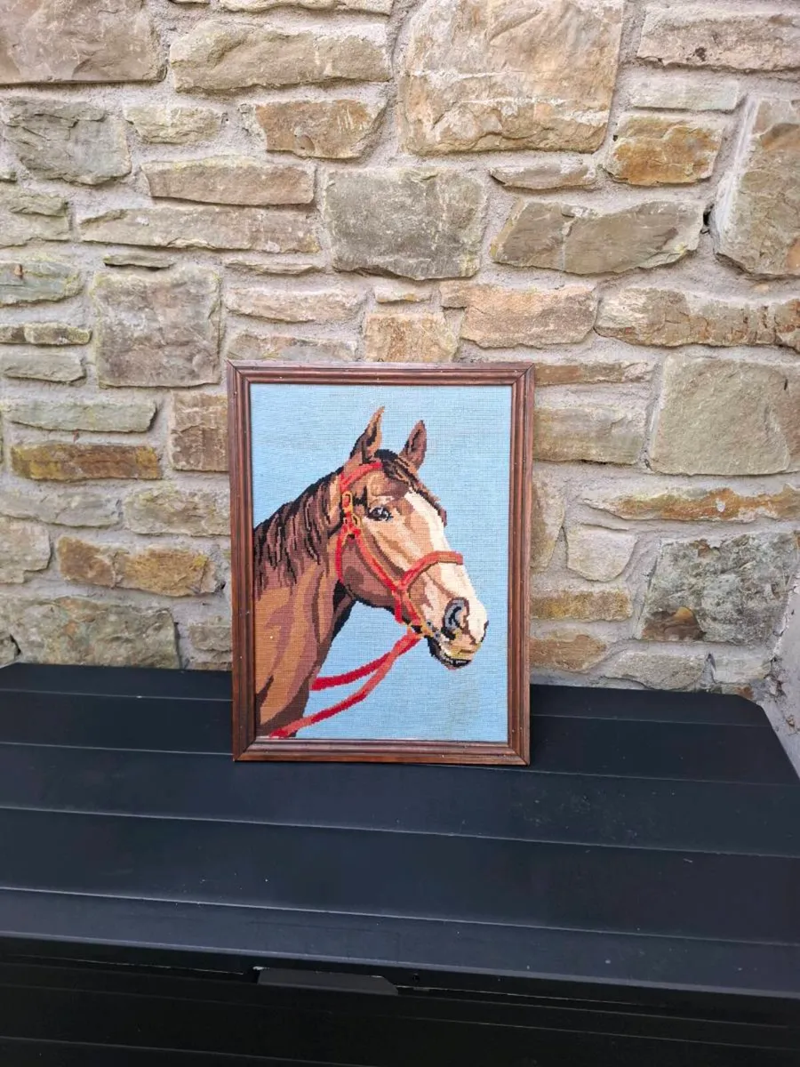 Horse canvas frame - Image 2