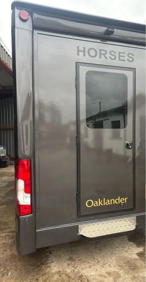 Horsebox 3.5 Ton New Build 2020 Vauxhall Movano - Image 2