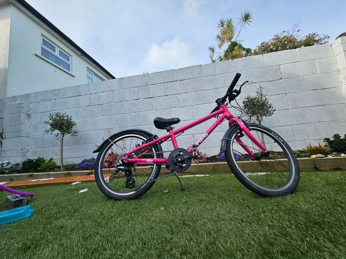 Frog bike - Image 2