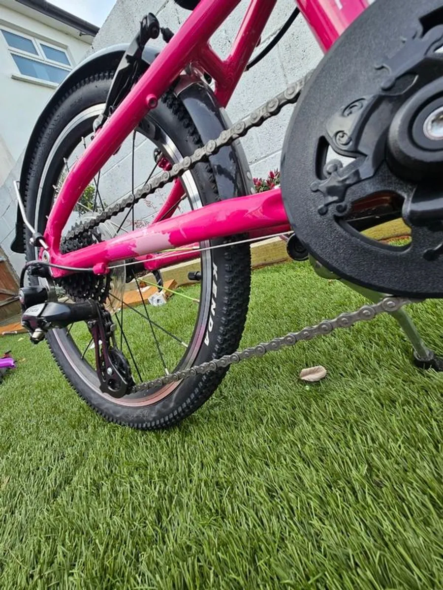 Frog bike - Image 3