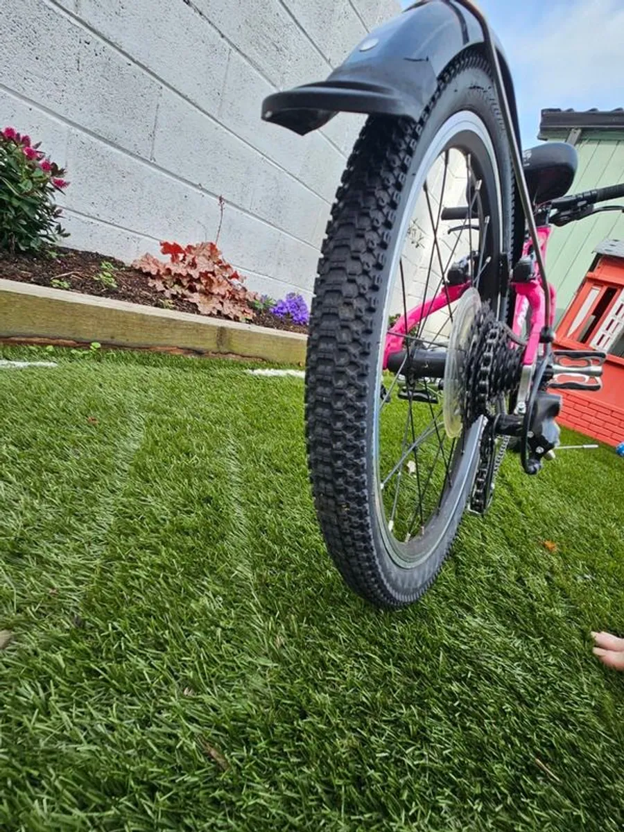 Frog bike - Image 4