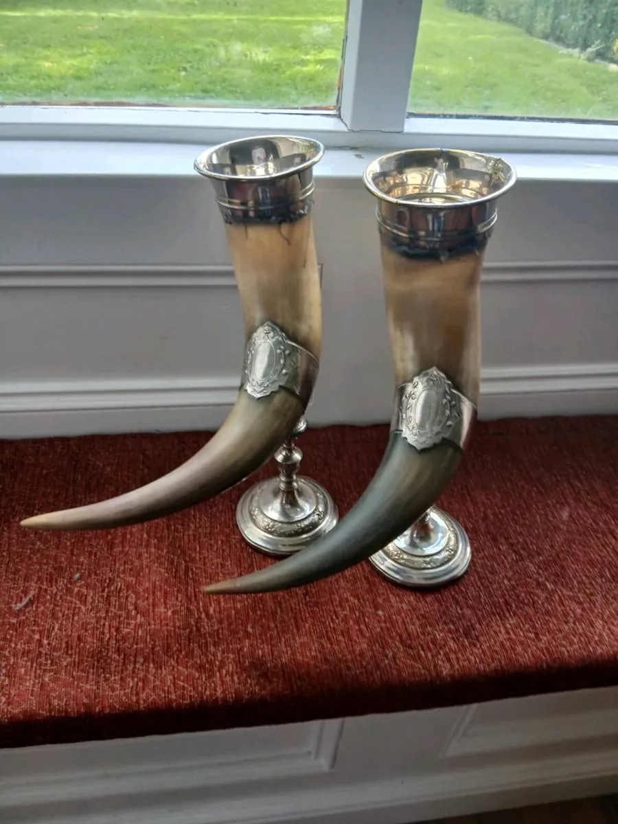20th century real cow horns - Image 1