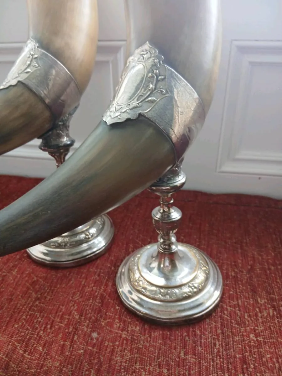 20th century real cow horns - Image 2