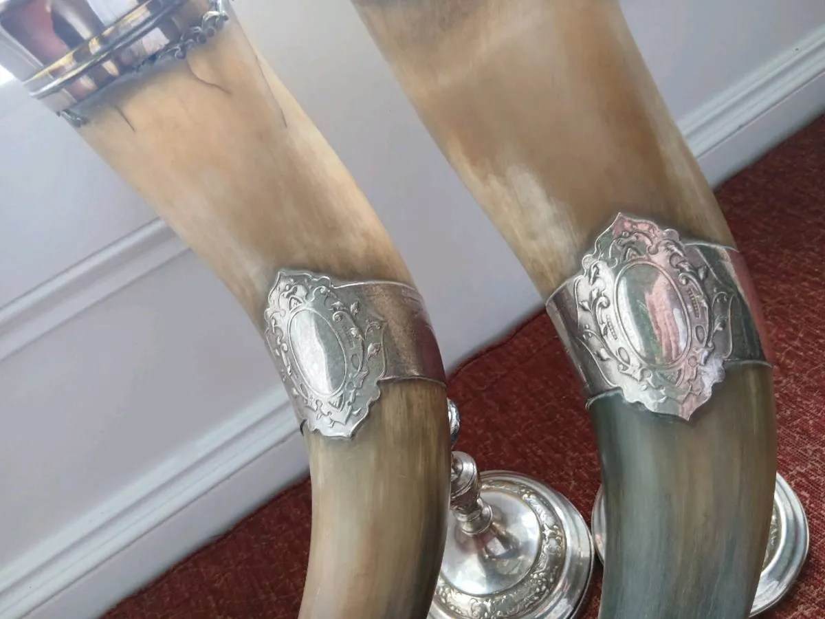 20th century real cow horns - Image 3