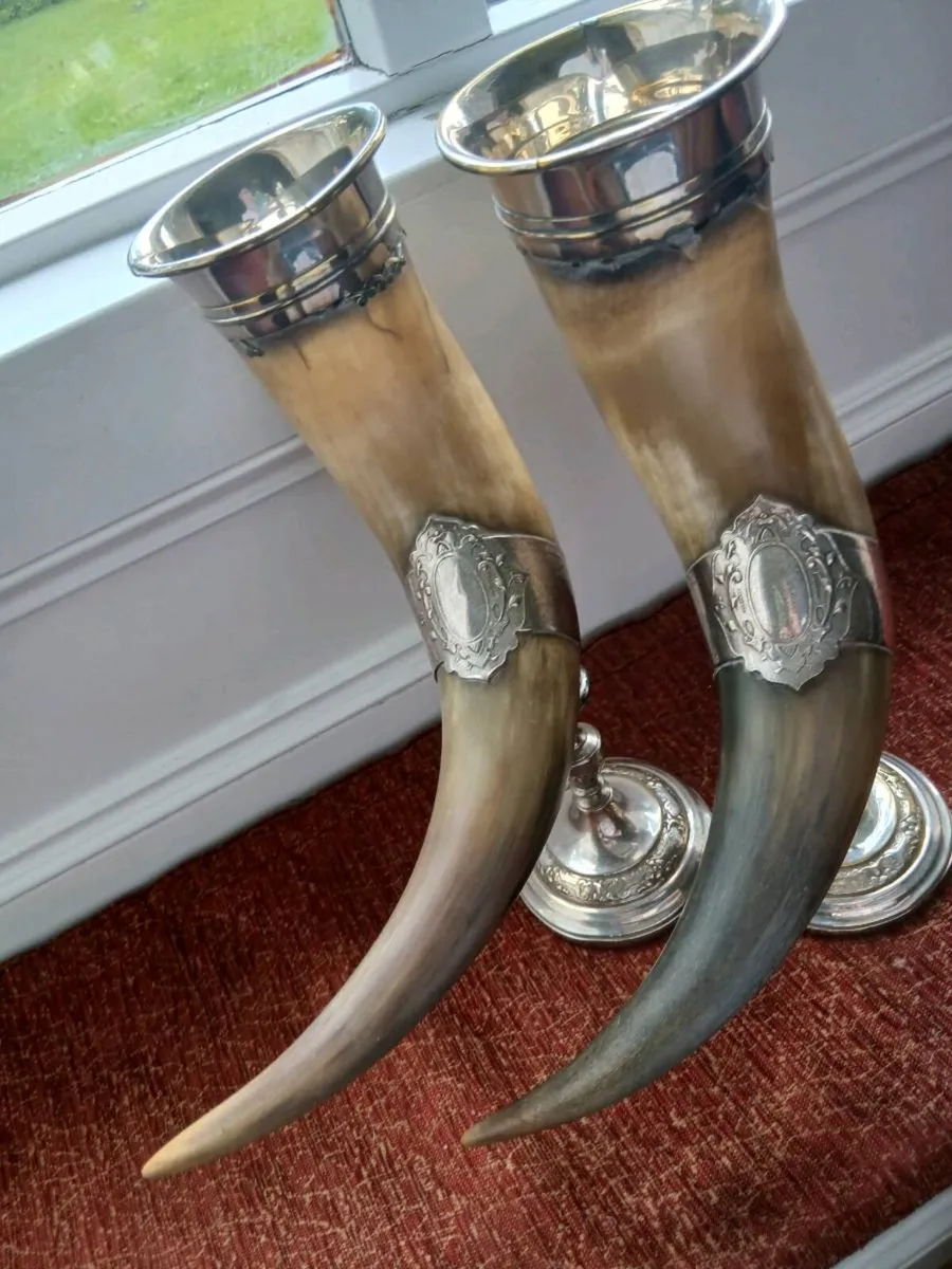20th century real cow horns - Image 4