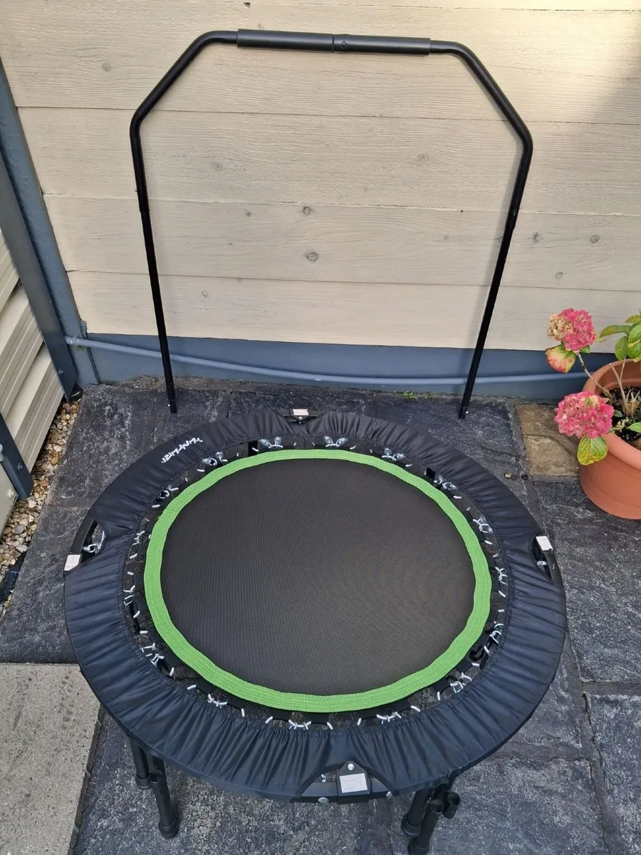 Fitness Trampoline Rebounder - Image 2