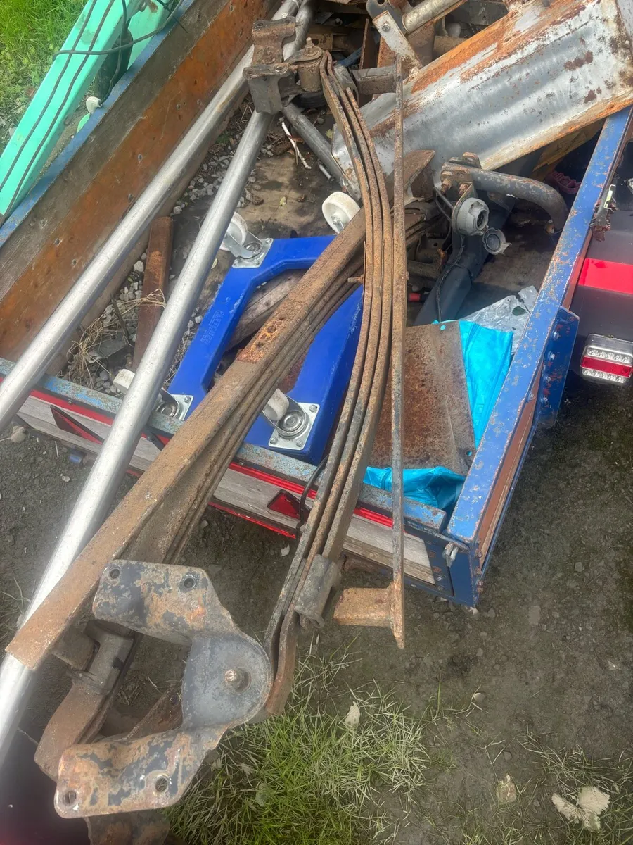 Heavy leaf springs - Image 1