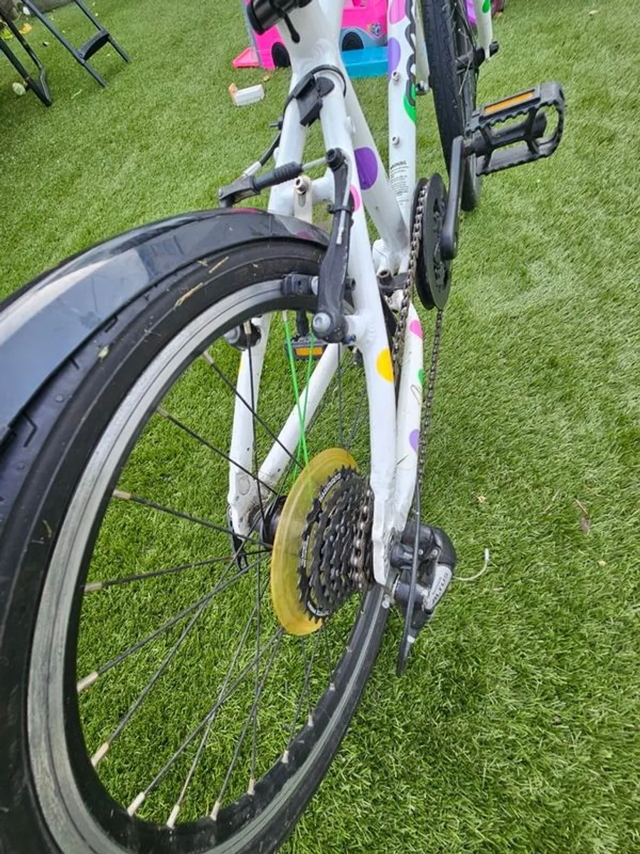 Frog bike - Image 3