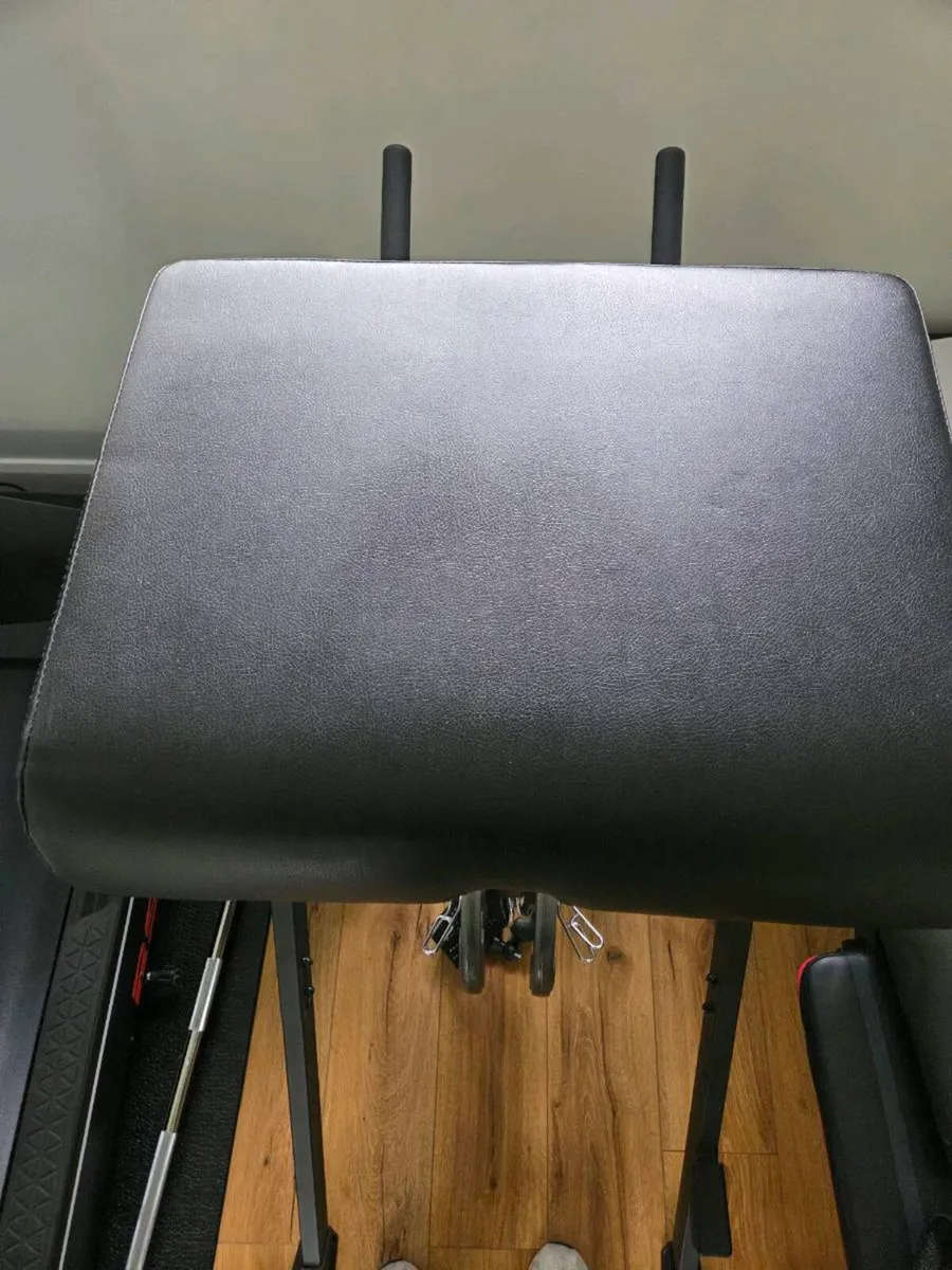 Westside Barbell Reverse Hyper - Image 3