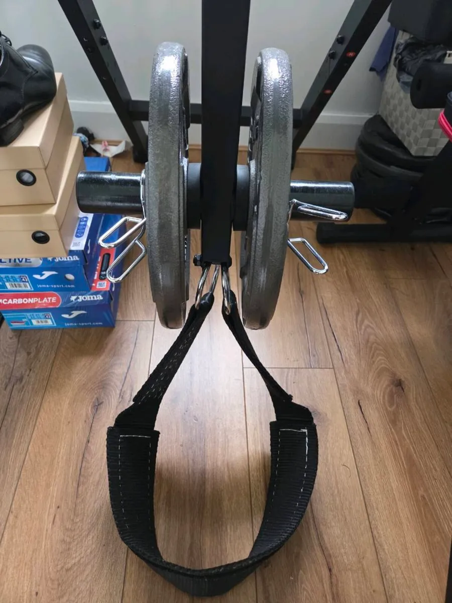 Westside Barbell Reverse Hyper - Image 4