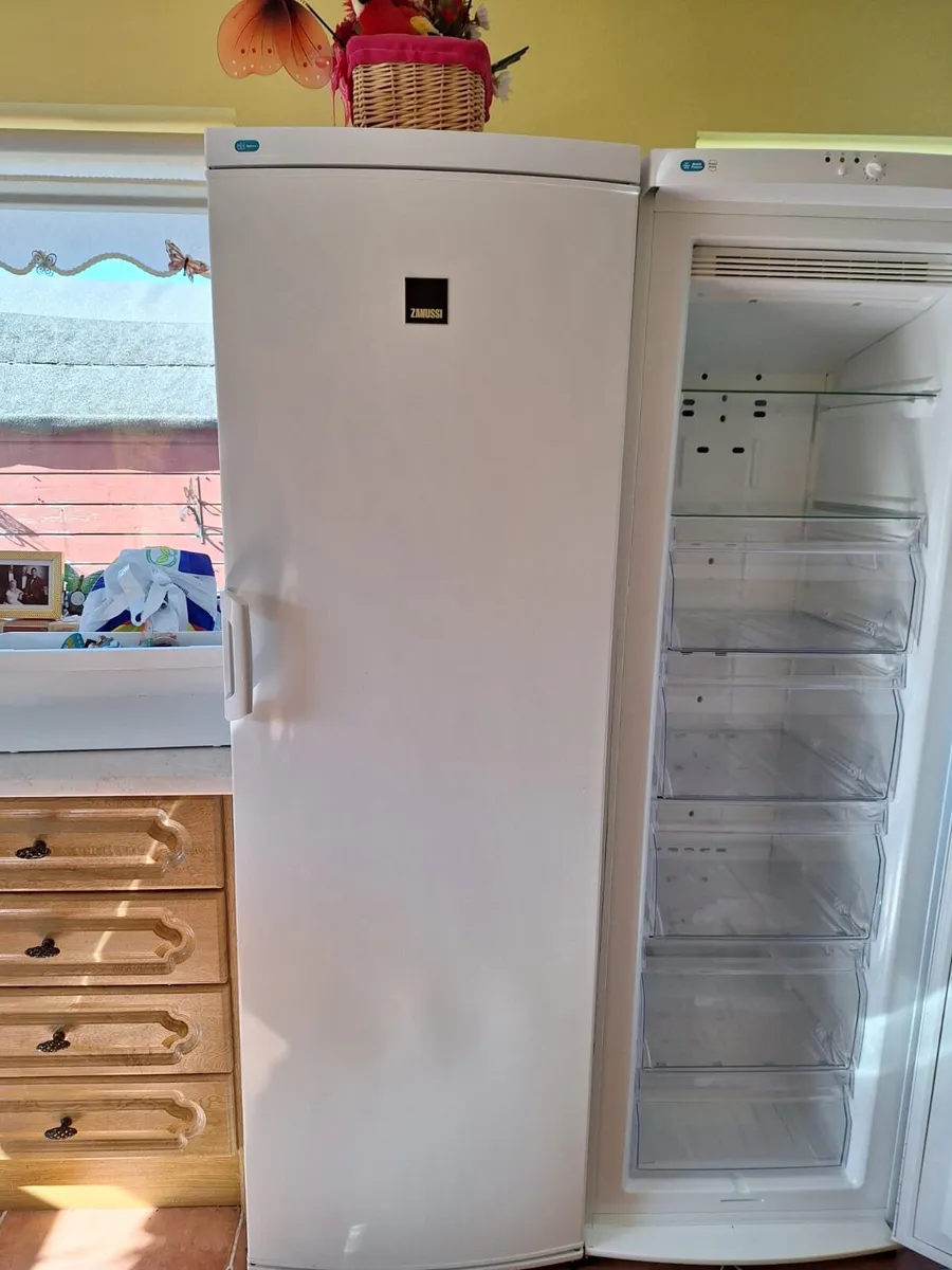 Fridge and freezer twin - Image 1