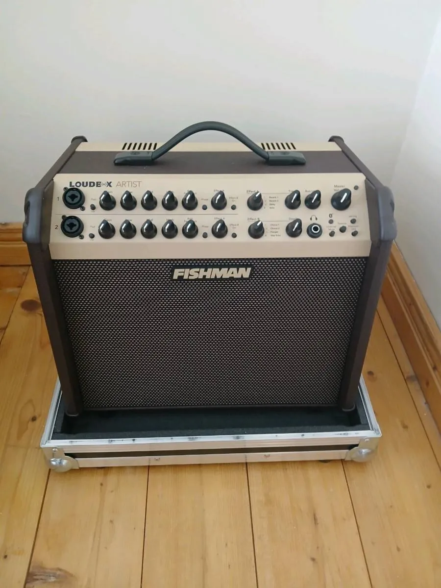 Fishman Loudbox Artist and Thon flight case - Image 1