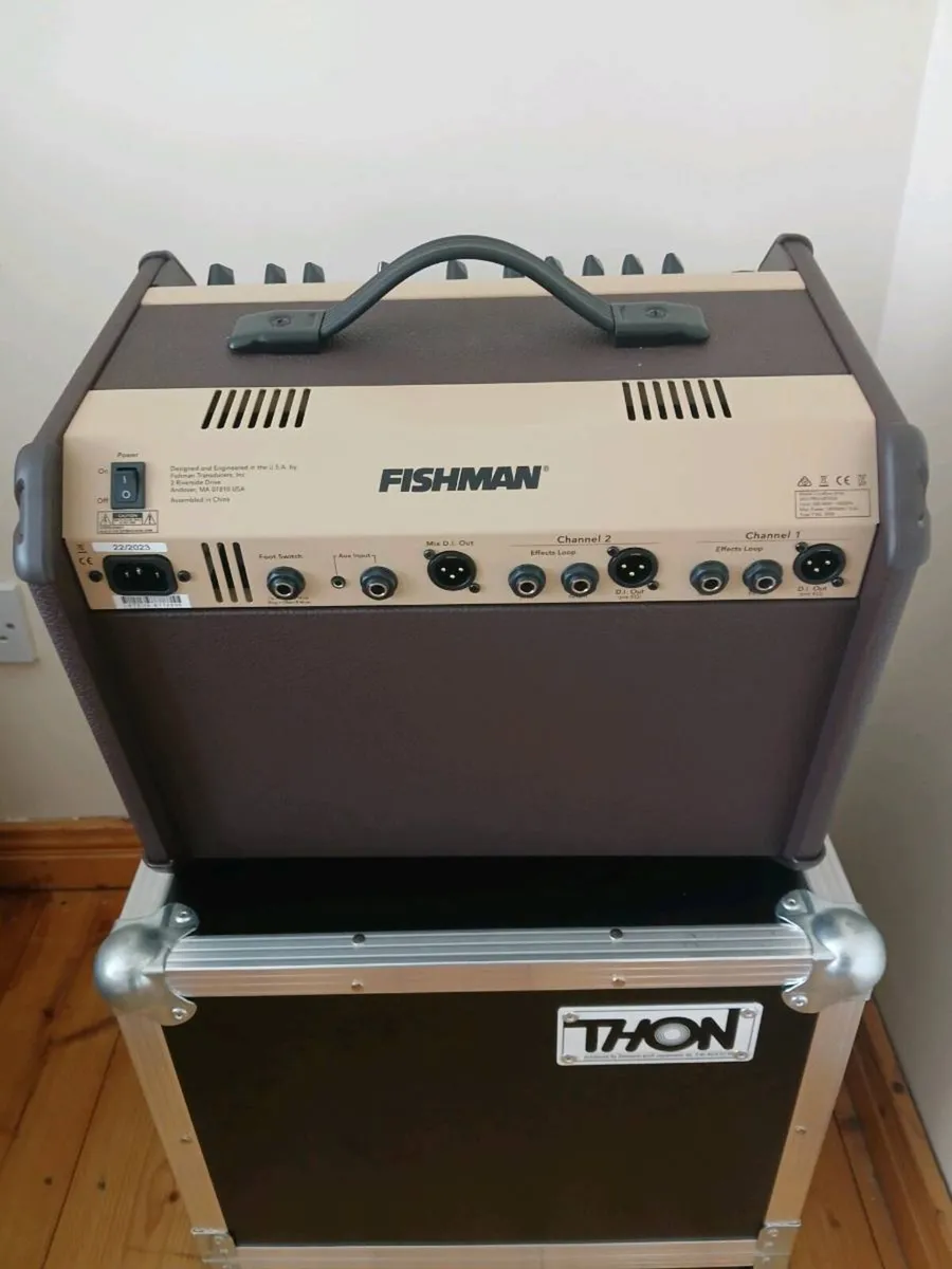 Fishman Loudbox Artist and Thon flight case - Image 2