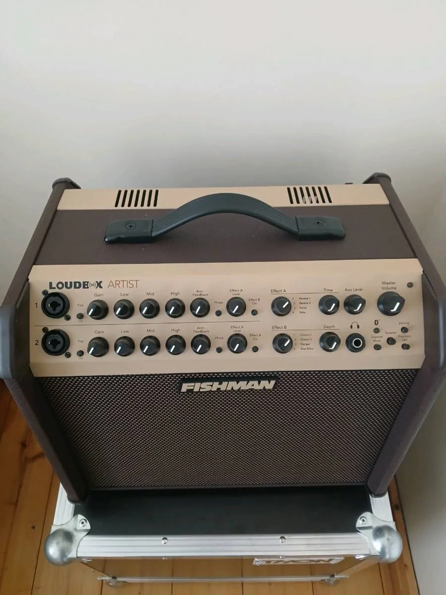 Fishman Loudbox Artist and Thon flight case - Image 4