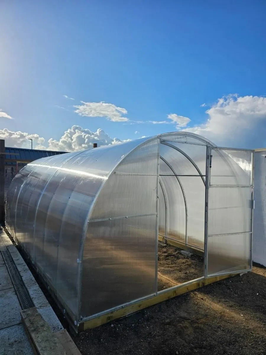 Enough with flimsy greenhouses. Get one - Image 3