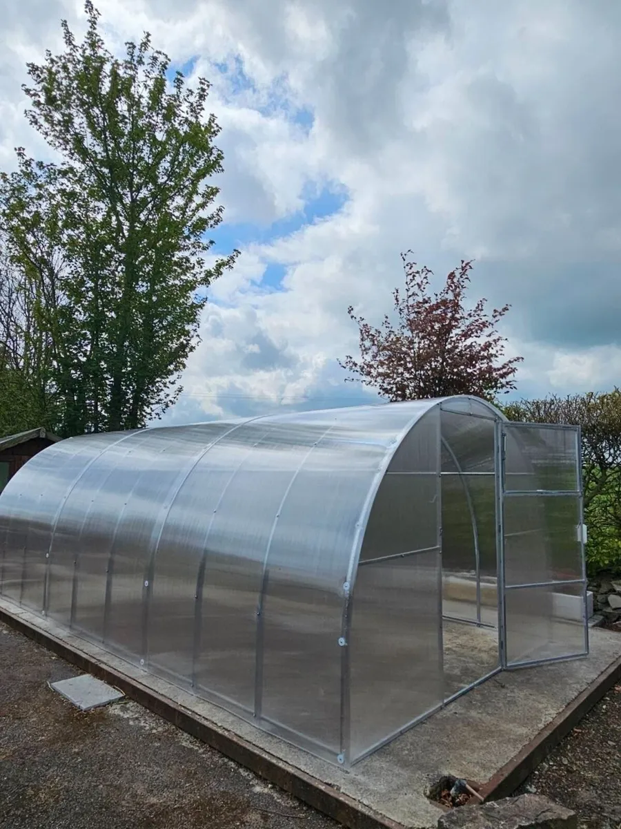 Enough with flimsy greenhouses. Get one - Image 4