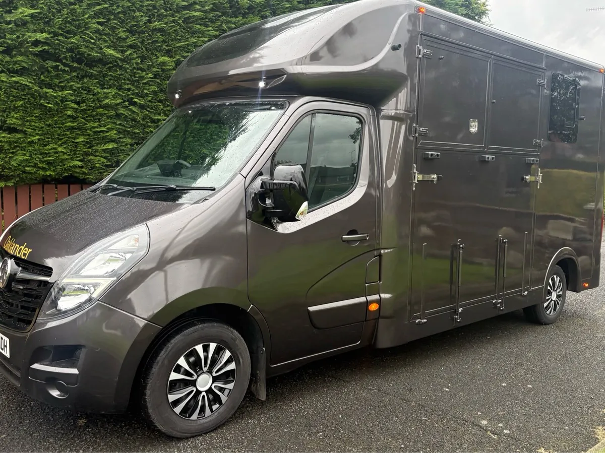 Horsebox 3.5 Ton New Build Vauxhall Movano 2020 - Image 3