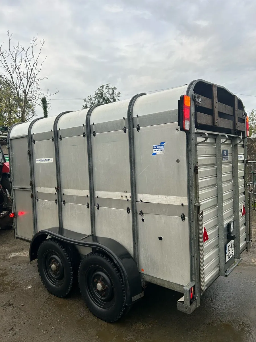 Ifor Williams 10ft x 5ft cattle trailer - Image 1