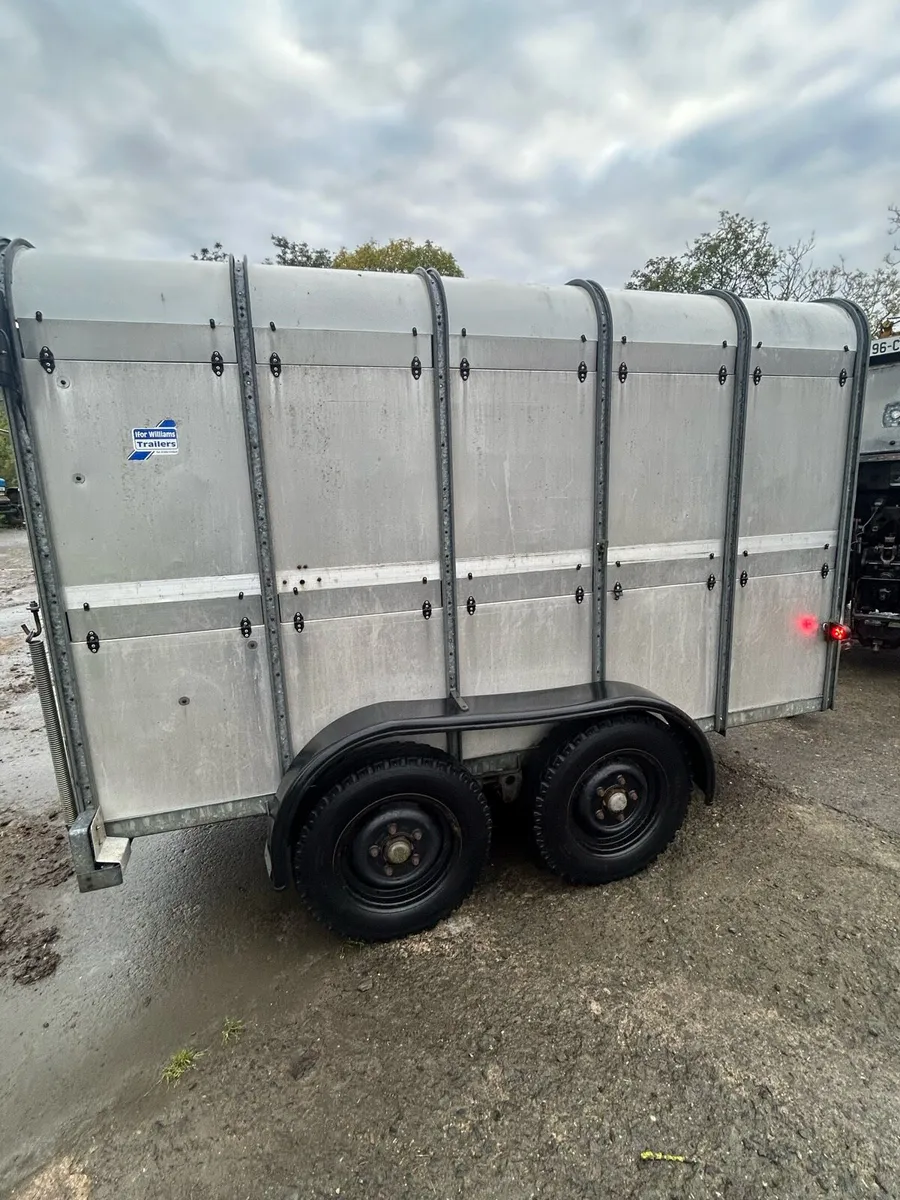 Ifor Williams 10ft x 5ft cattle trailer - Image 2