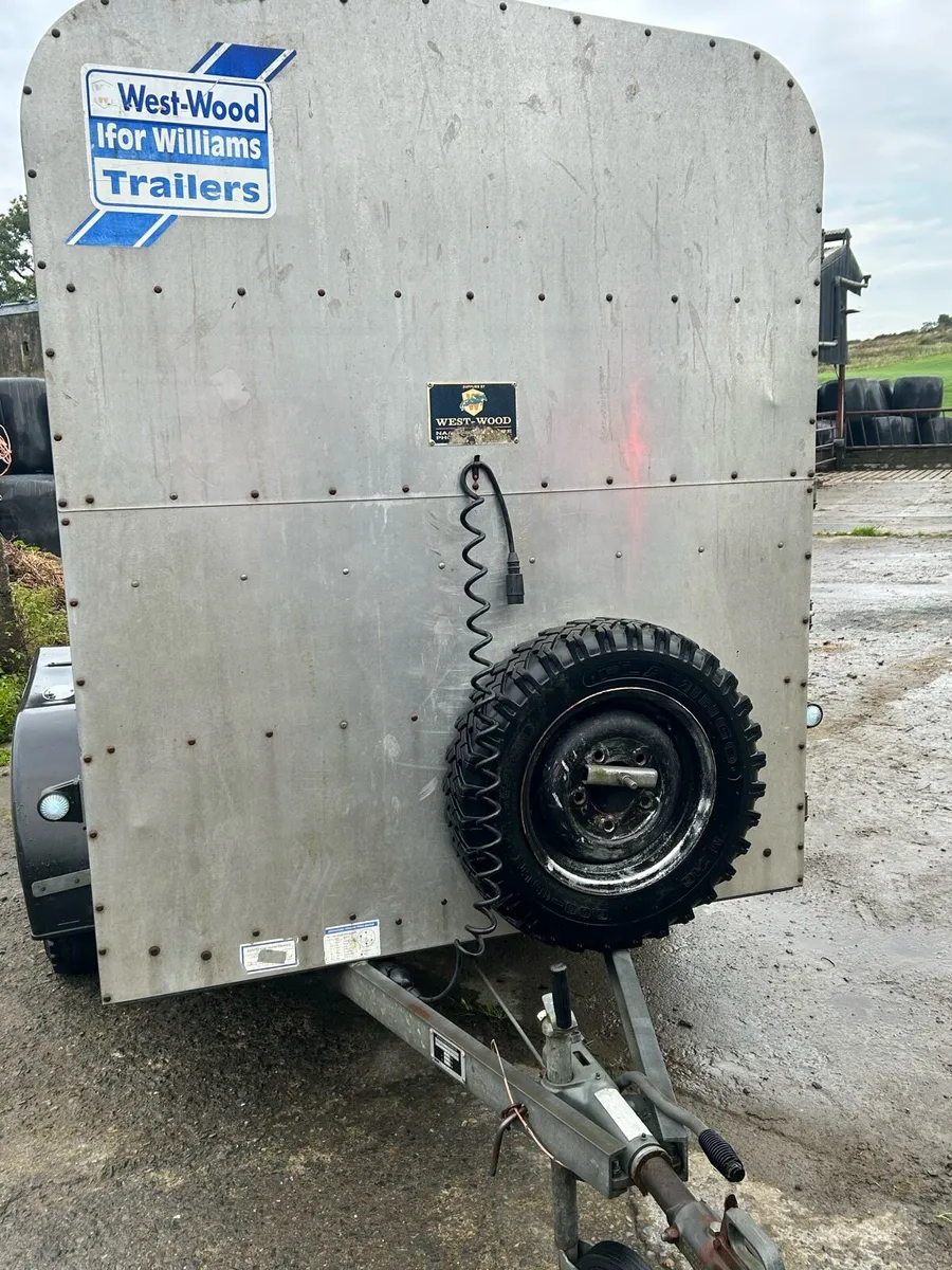 Ifor Williams 10ft x 5ft cattle trailer - Image 4
