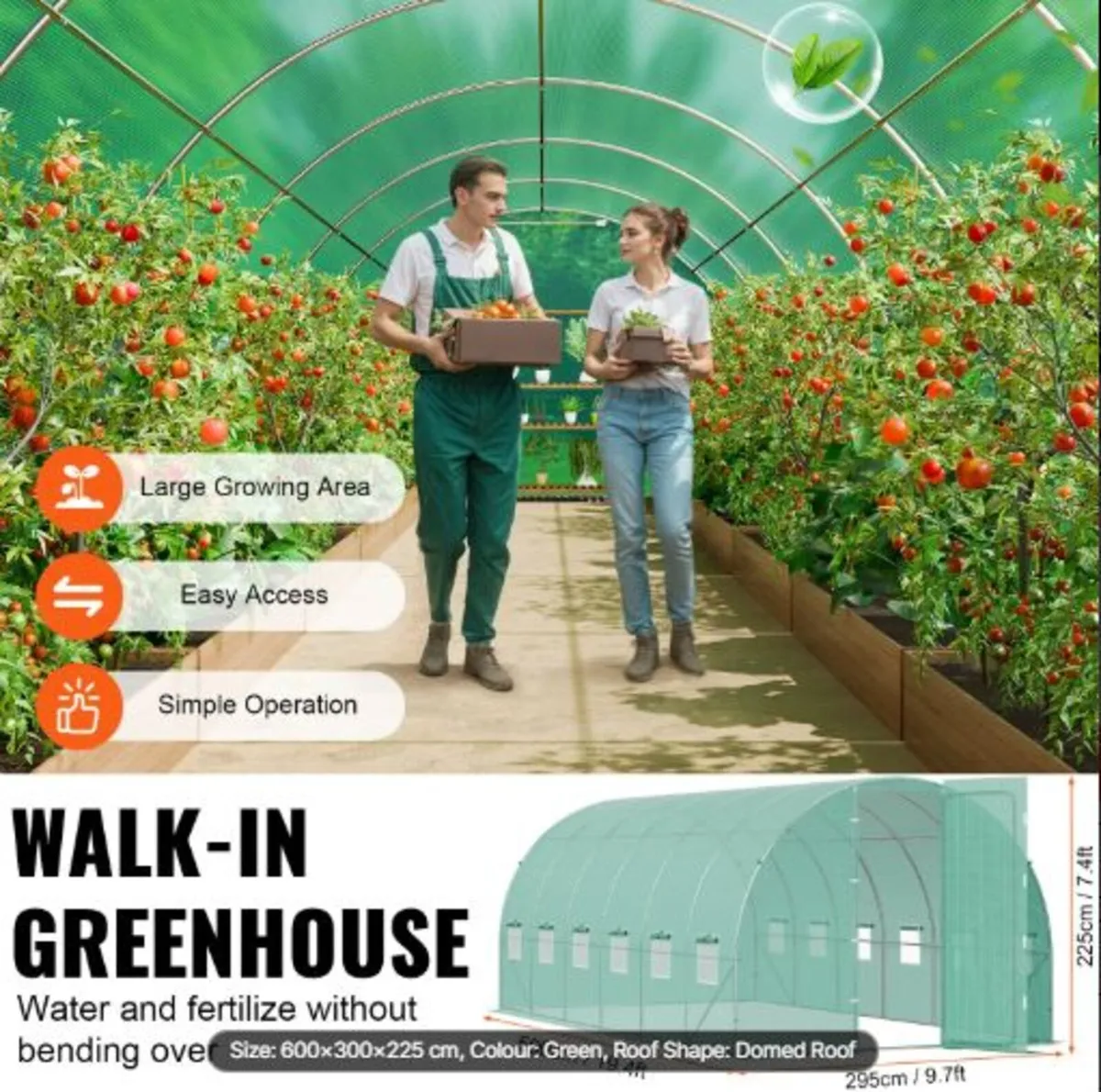 Walk-in Tunnel Greenhouse, 19.4x9.7x7.4 ft Hoop - Image 3