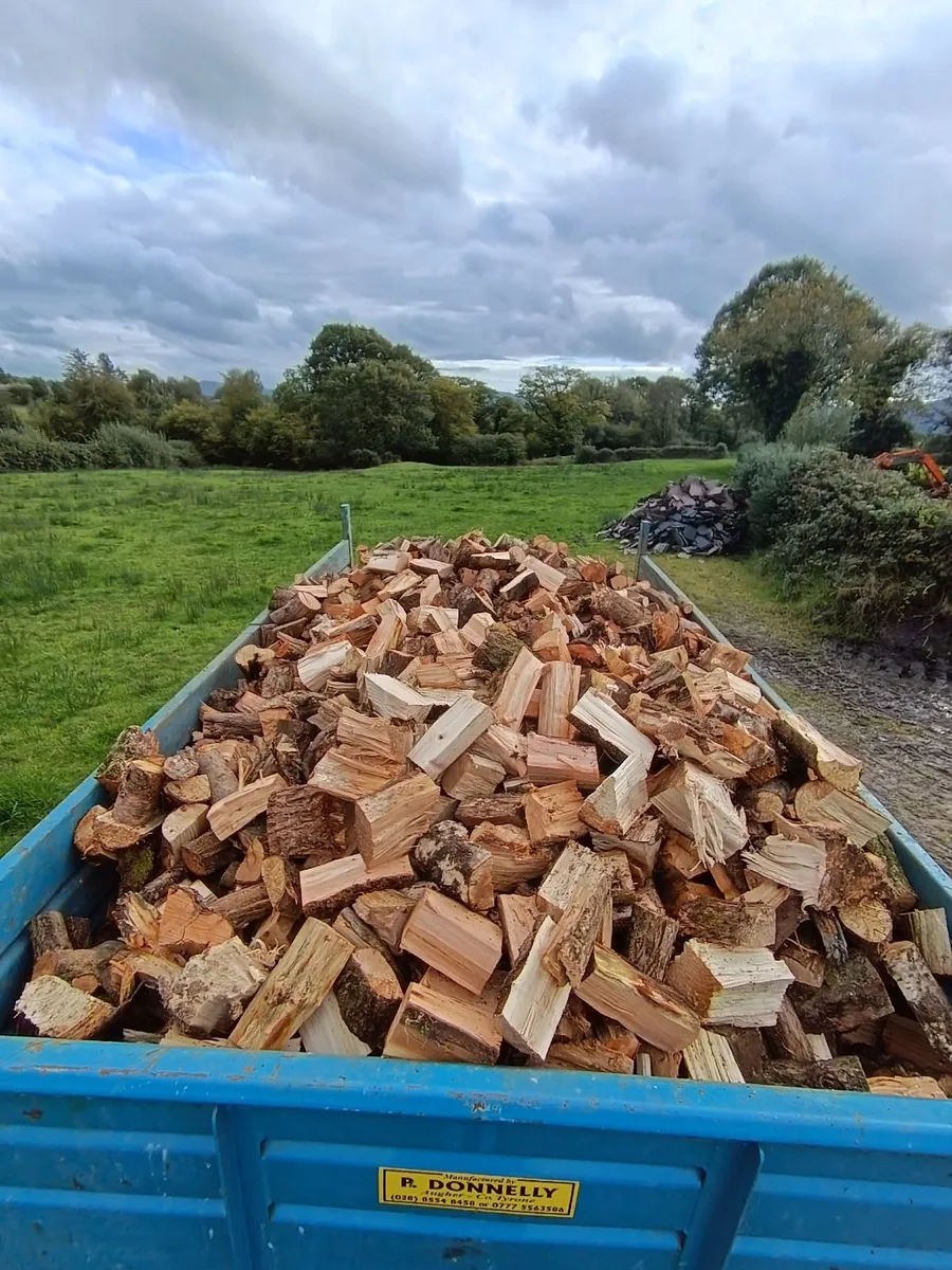 QUALITY SEASONED FIREWOOD FOR SALE - Image 2