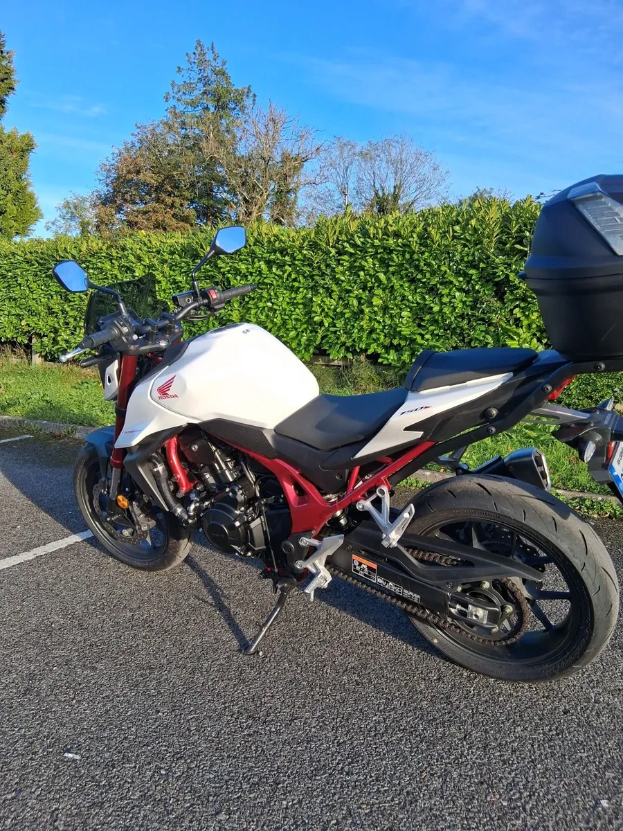 251 Honda Hornet 750 - very clean - low KMS - Image 2
