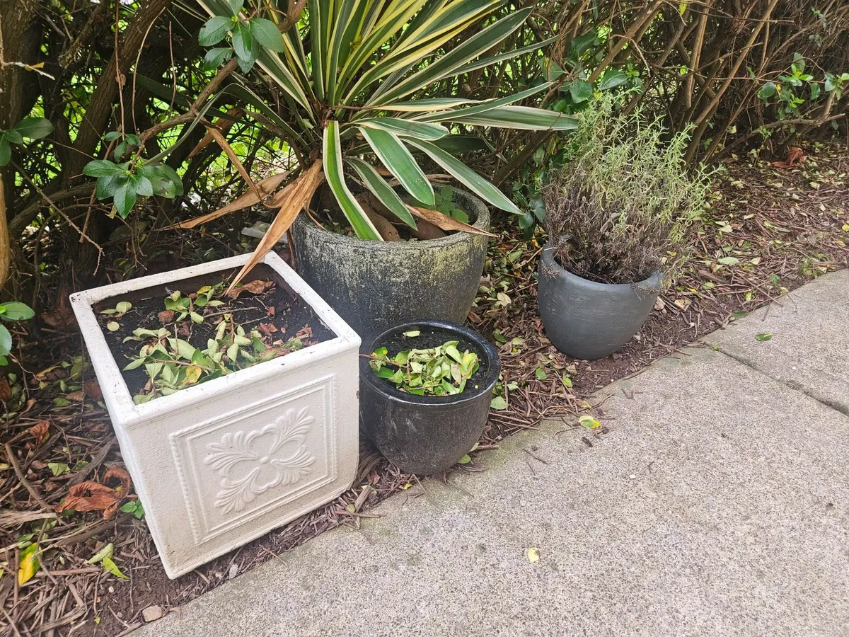 Flower pots