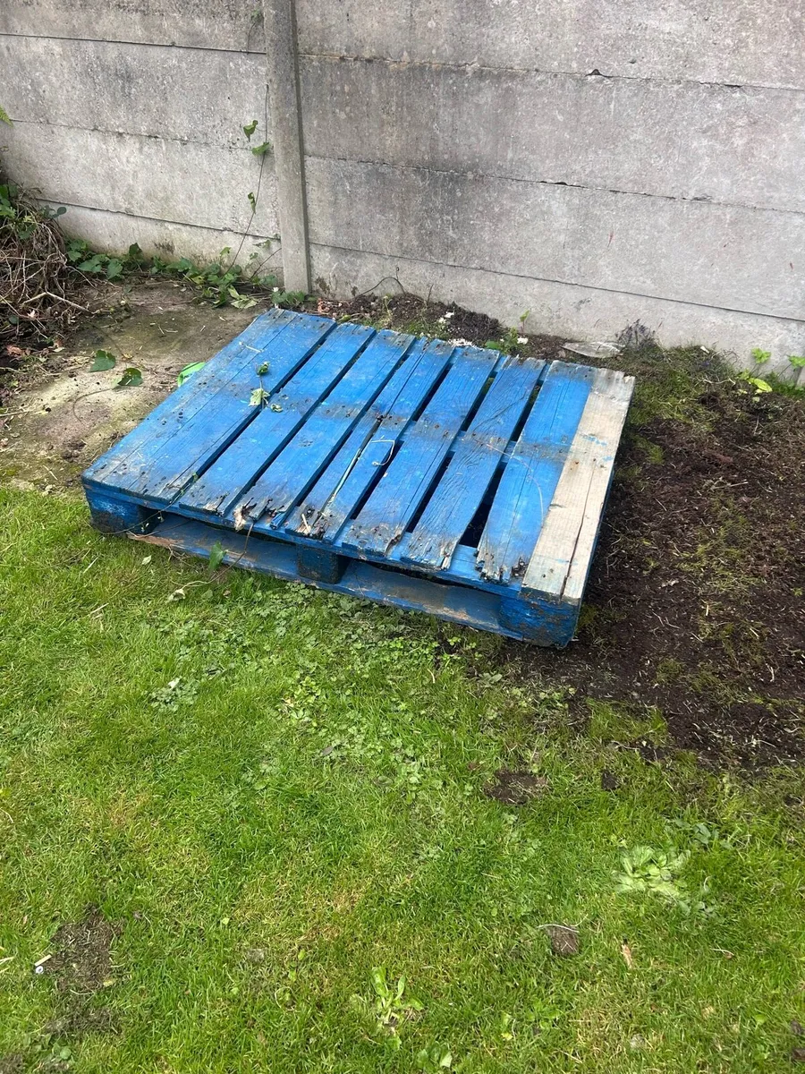 Pallet