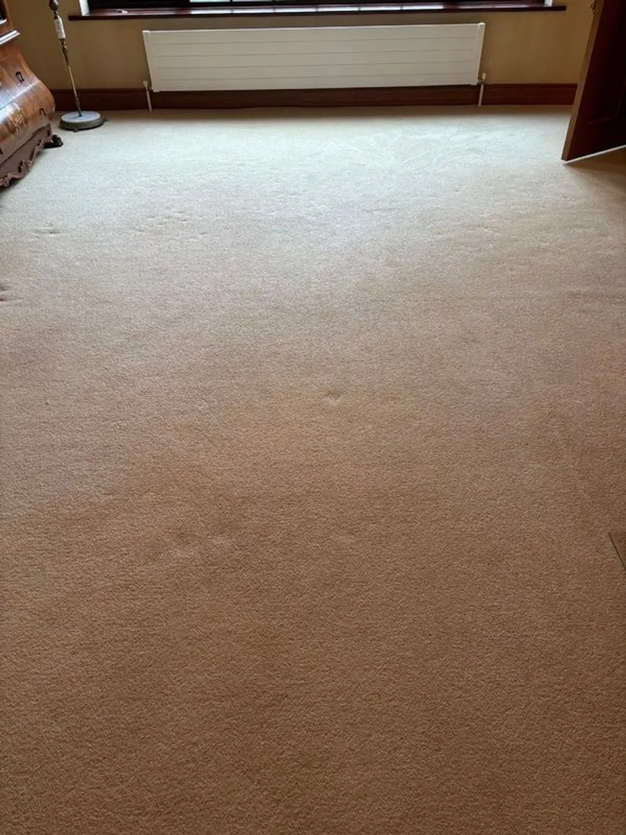 Large Premium Cream Wool Carpet