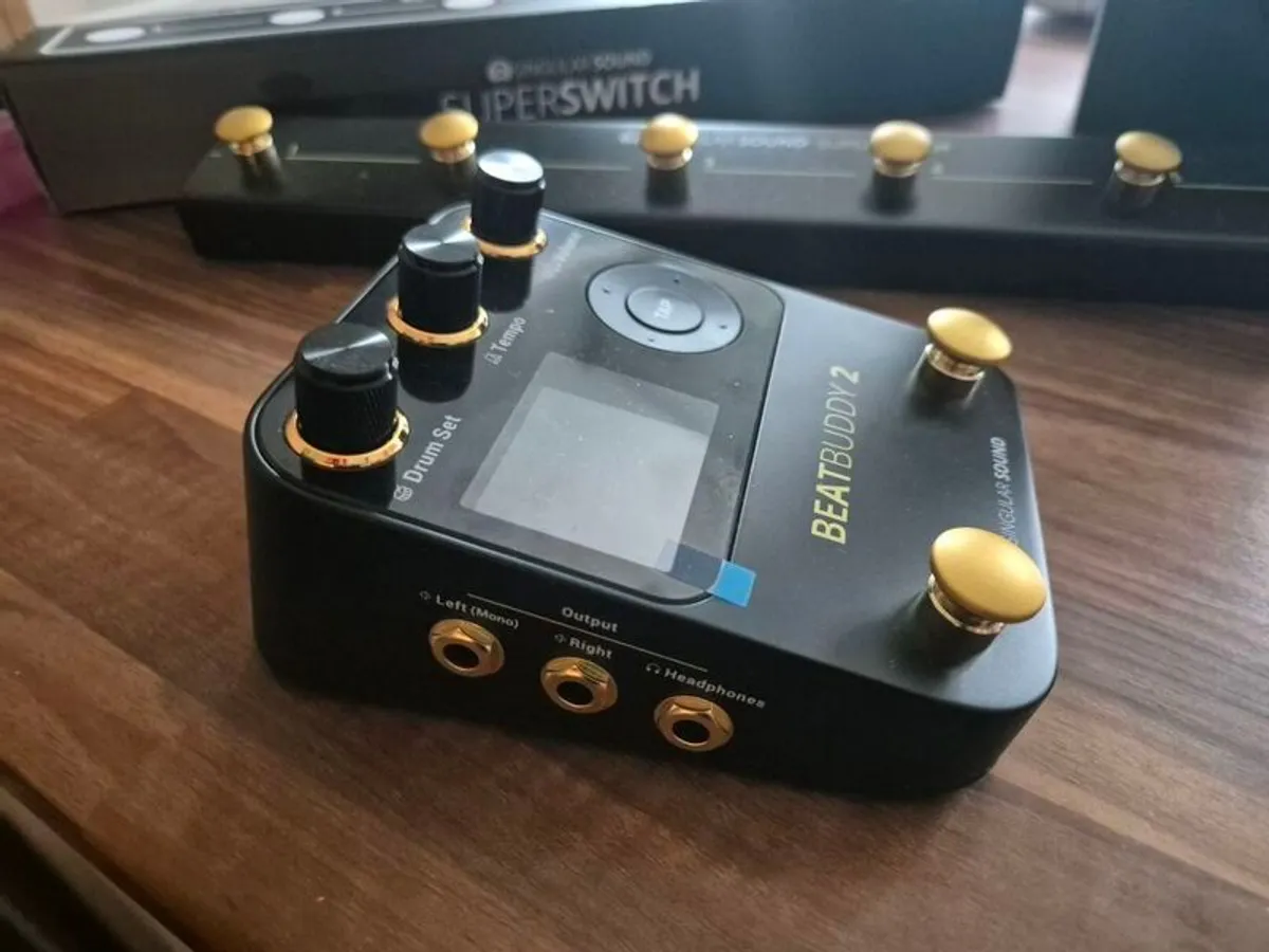 Beatbuddy 2 And Singular Sound Superswitch - Image 2
