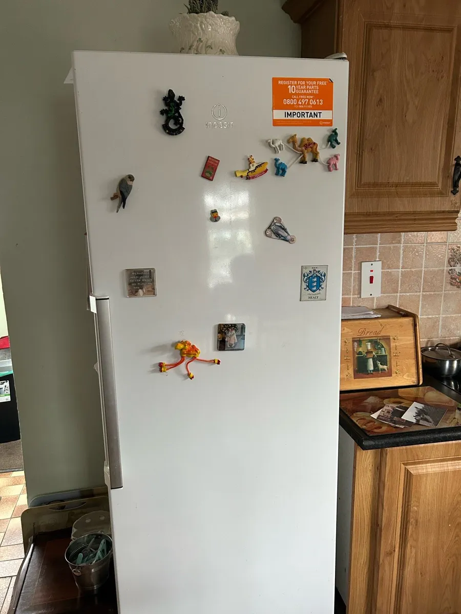 Indesit Full height fridge